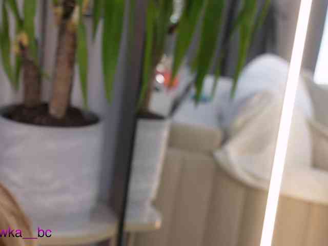 ALVUWKA webcam