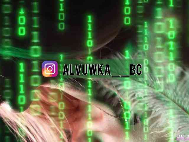 Модель: ALVUWKA