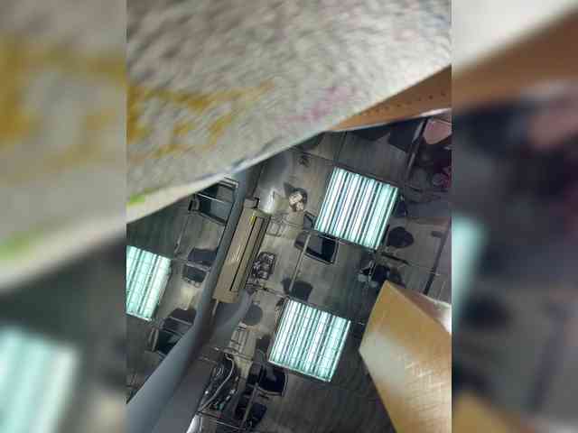 ALVUWKA webcam
