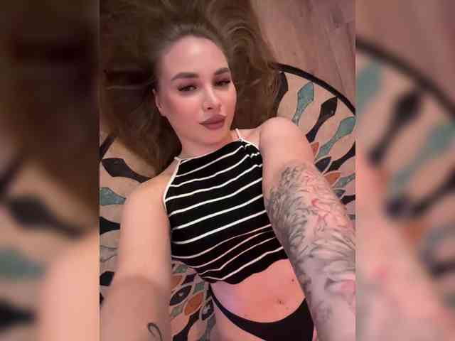 Modelo: Havyer