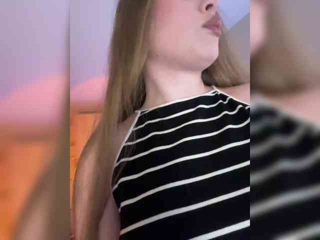 Модель: Havyer