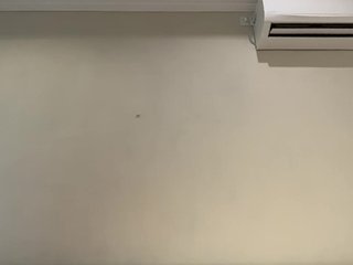 amapolaisland Porn Show