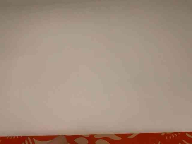 amapolaisland webcam