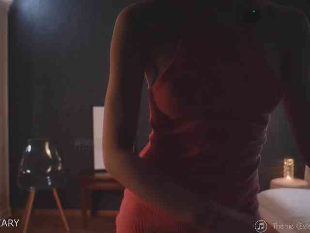 -ARTA- webcam