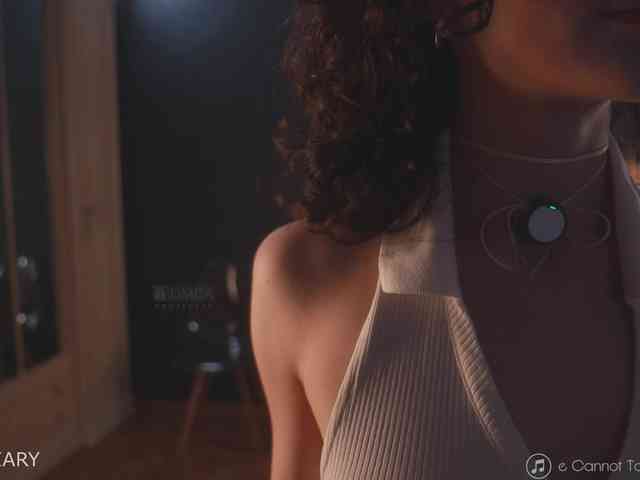 -ARTA- webcam