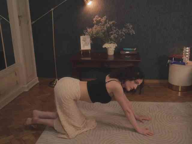 -ARTA- webcam