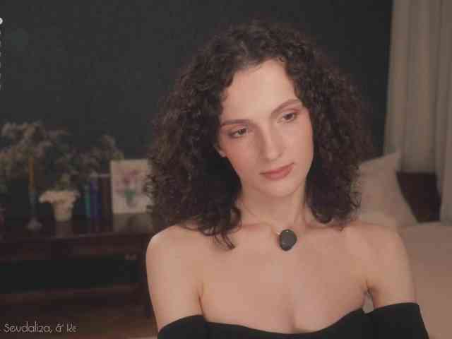 -ARTA- webcam