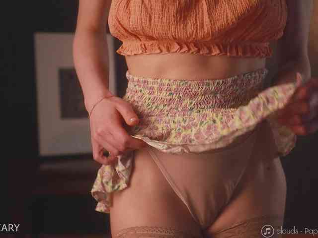 -ARTA- webcam