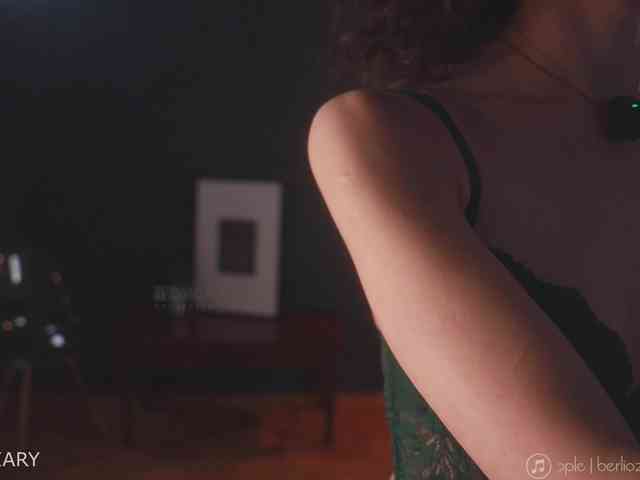 -ARTA- webcam