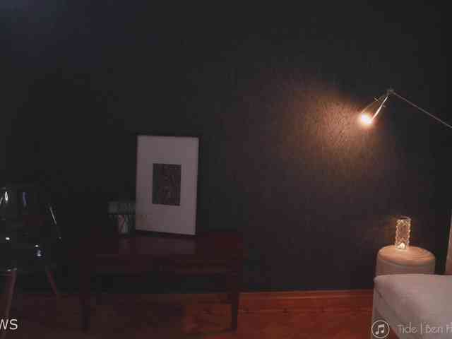 -ARTA- webcam