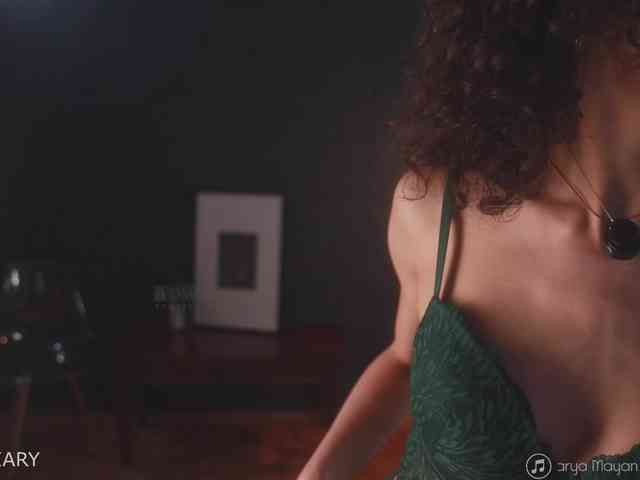 -ARTA- webcam