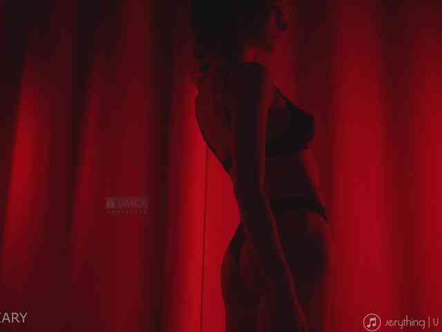 -ARTA- webcam