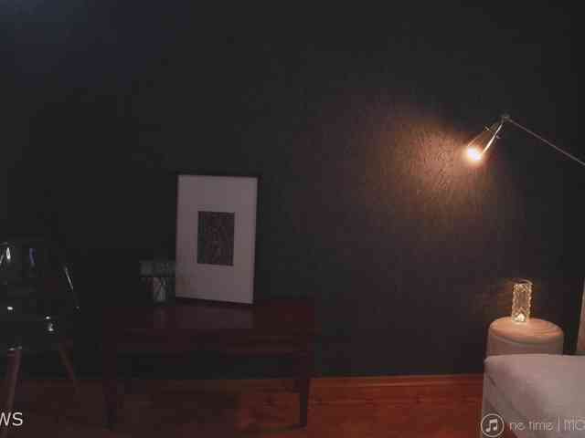 -ARTA- webcam