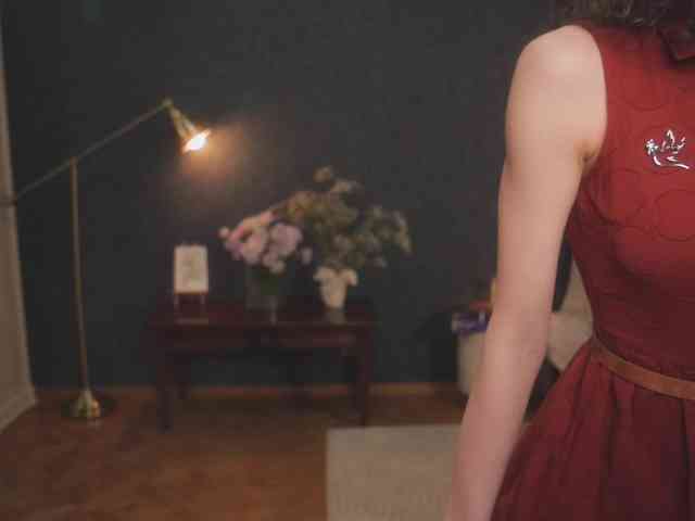 -ARTA- webcam