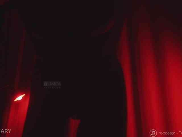 -ARTA- webcam