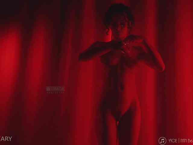 -ARTA- webcam