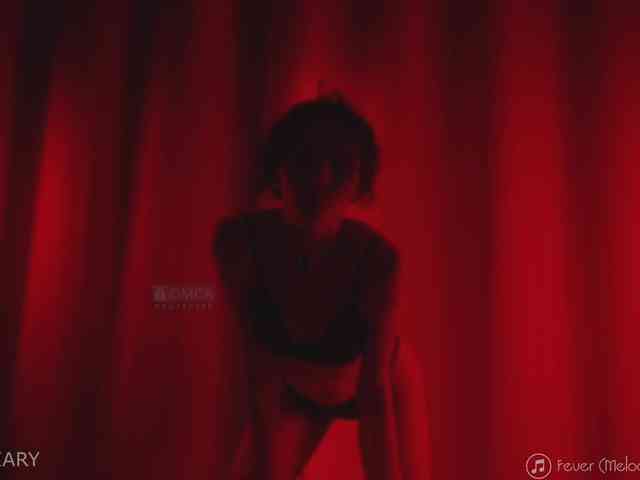 -ARTA- webcam