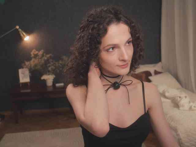 -ARTA- webcam