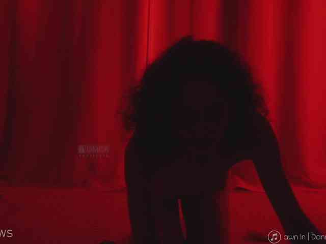 -ARTA- webcam