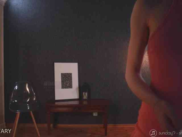 -ARTA- webcam