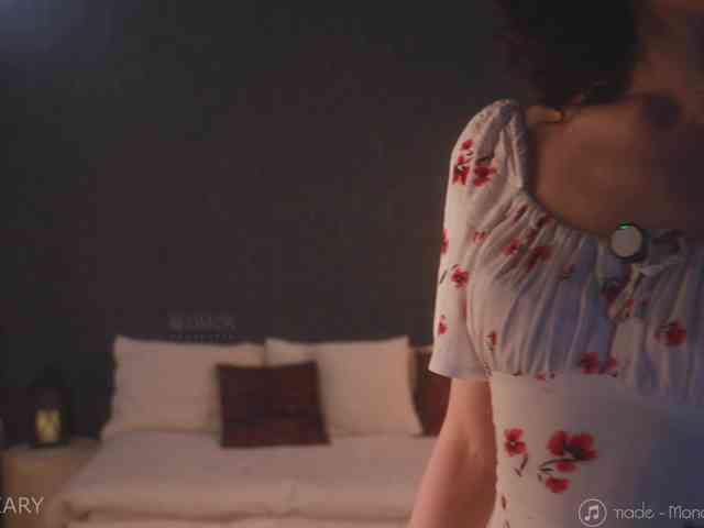 -ARTA- webcam