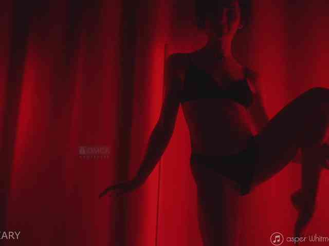 -ARTA- webcam