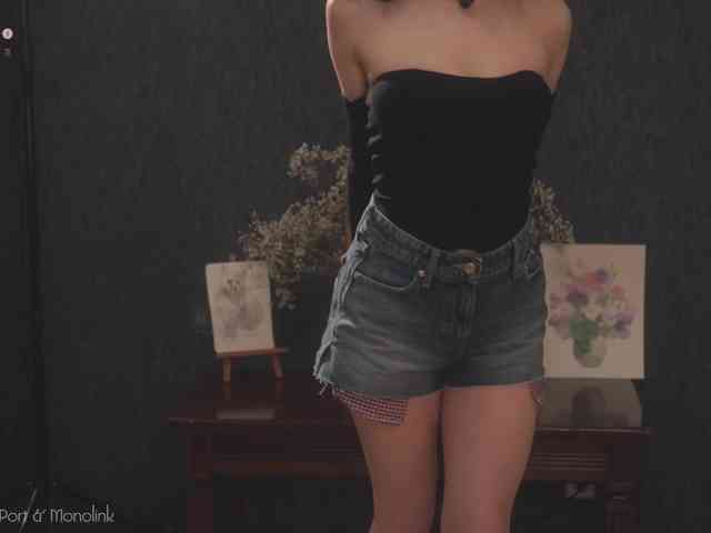-ARTA- webcam