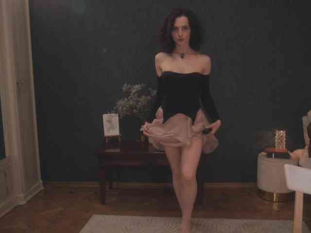 -ARTA- webcam