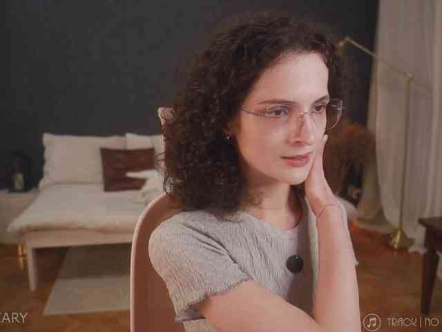 -ARTA- webcam