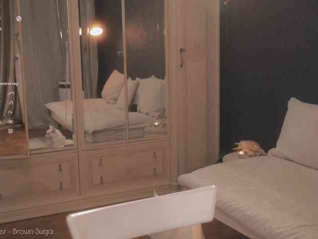 -HUARTA- webcam
