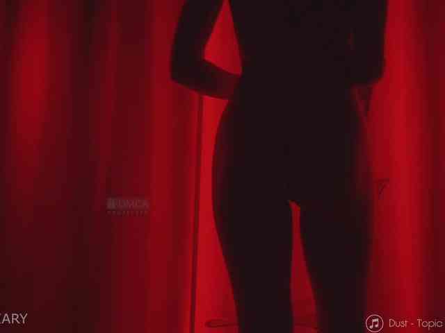 -ARTA- webcam