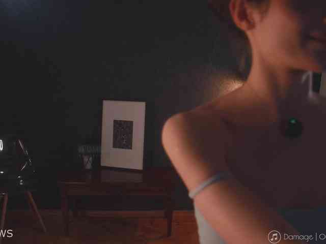 -ARTA- webcam