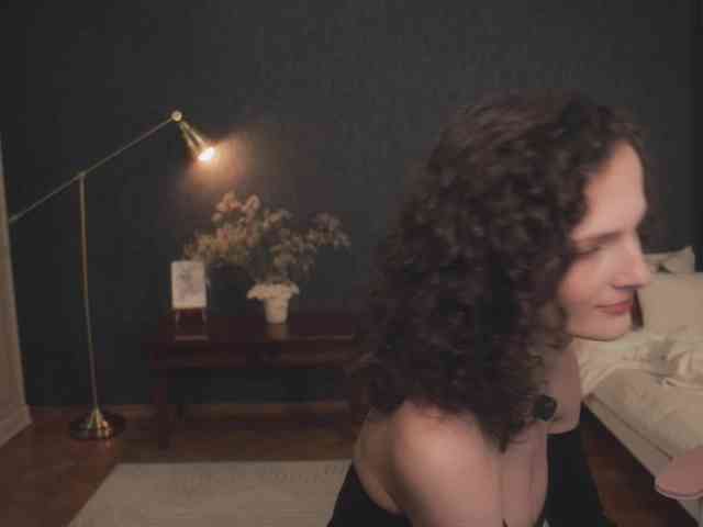 -ARTA- webcam