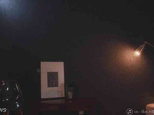-ARTA- webcam