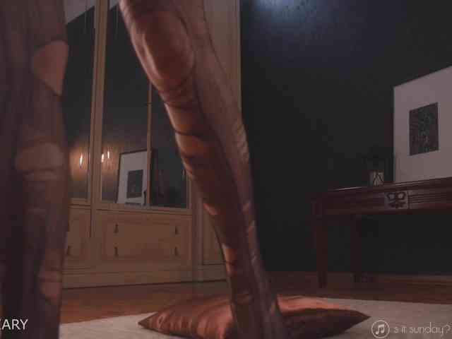 -ARTA- webcam