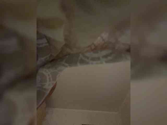Bomboclatto webcam