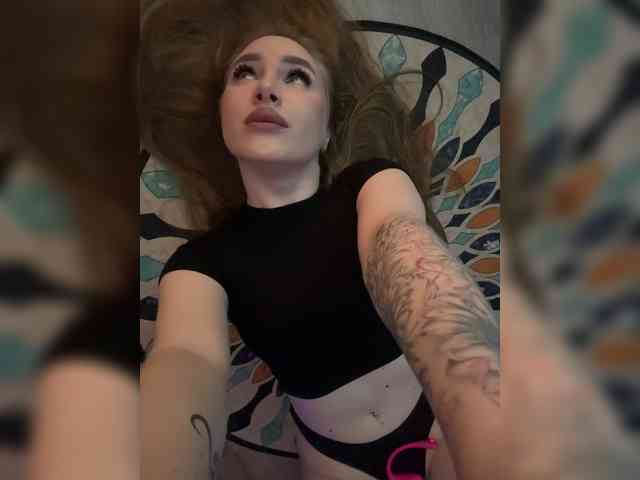 Havyer webcam