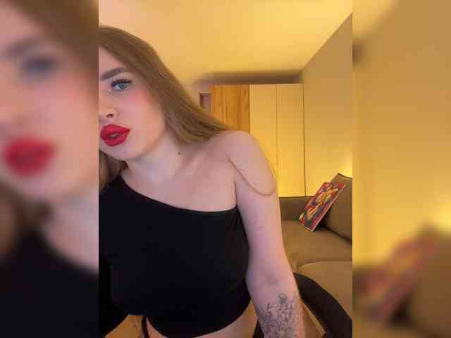 Havyer webcam