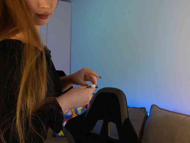 Havyer webcam