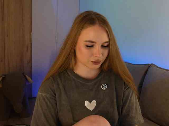 Havyer webcam