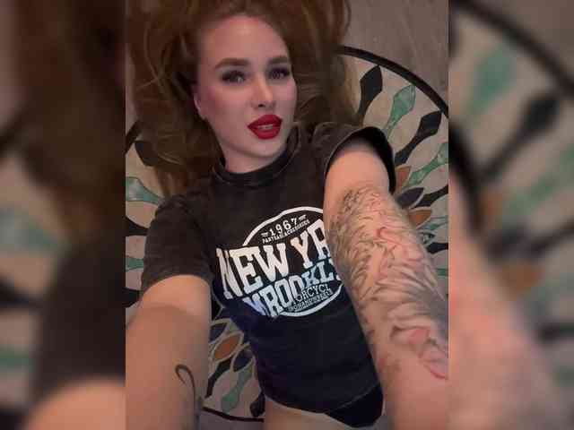 Havyer webcam