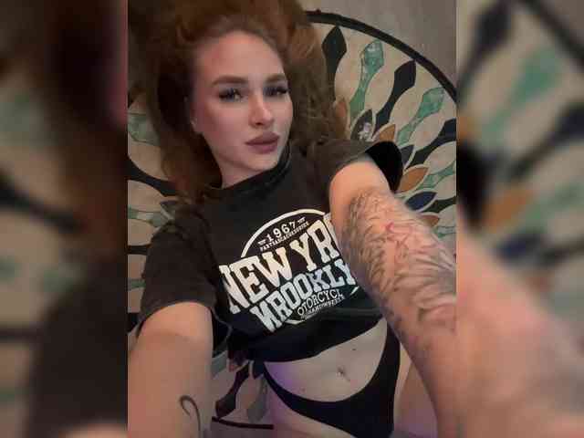 Havyer webcam