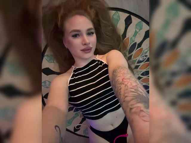 Havyer webcam
