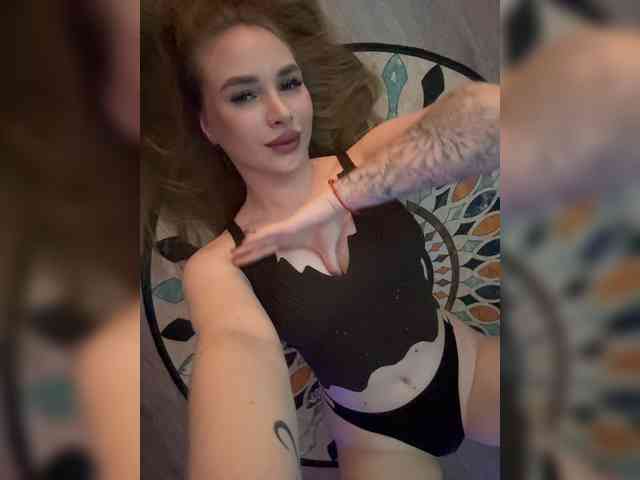 Havyer webcam