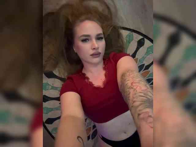 Havyer webcam
