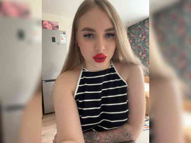 Havyer webcam