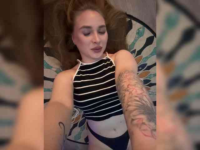 Havyer webcam
