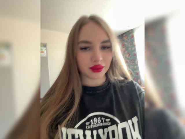 Havyer webcam