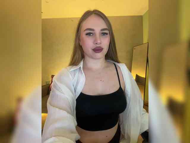 Havyer webcam