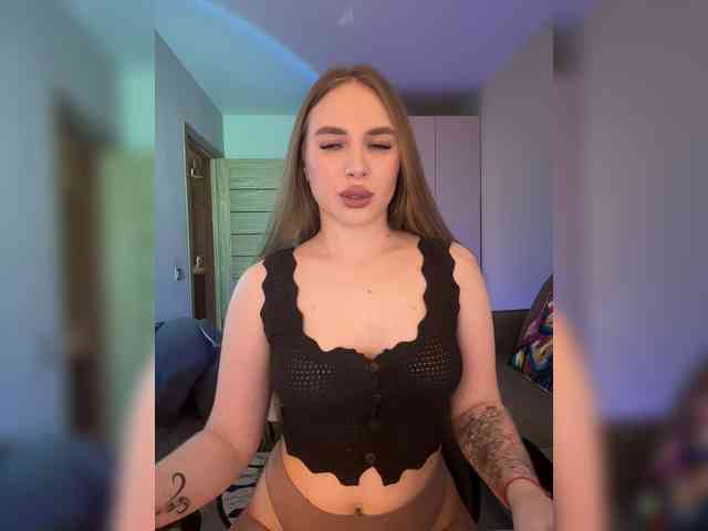 Havyer webcam